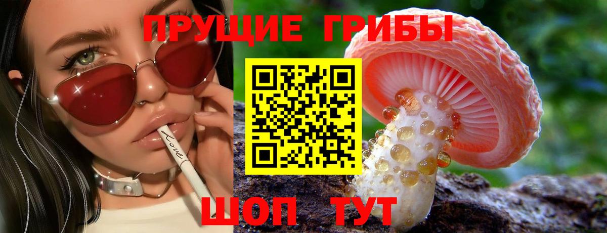 Псилоцибиновые грибы MAGIC MUSHROOMS Видное
