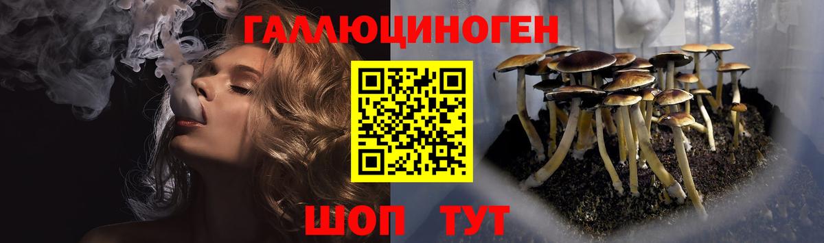 Видное  Галлюциногенные грибы Cubensis  Вход с VPN  Галлюциногенные грибы Magic Shrooms 